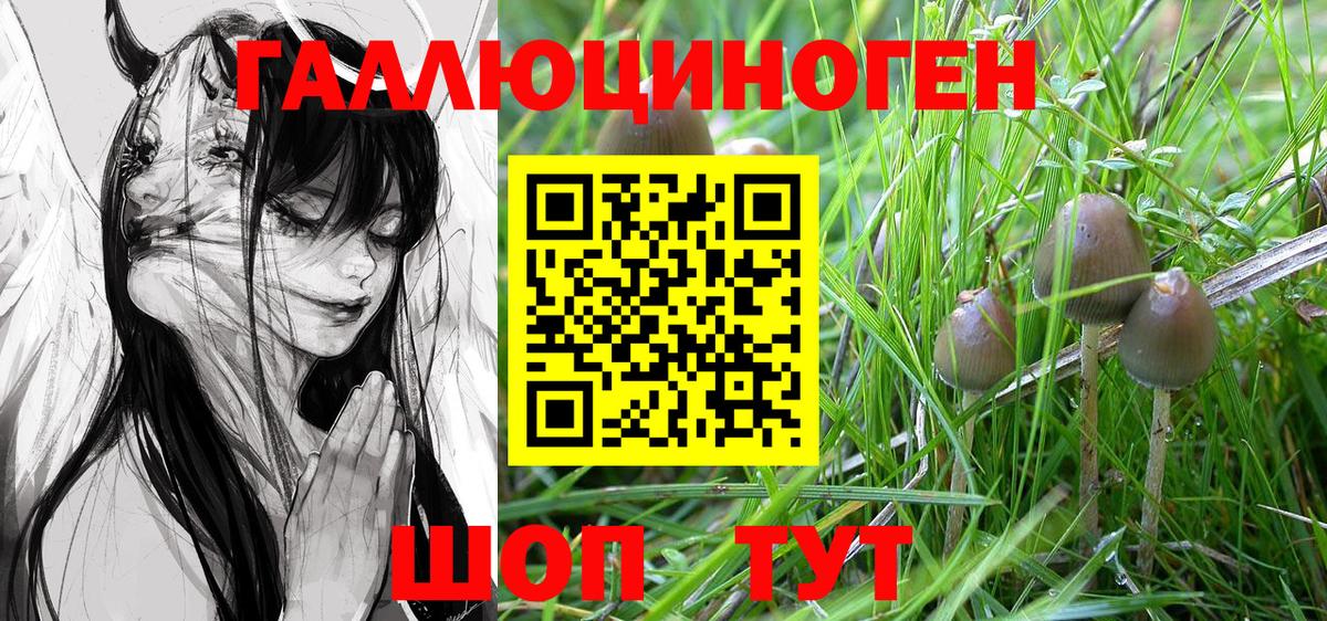 Галлюциногенные грибы мицелий Дубна